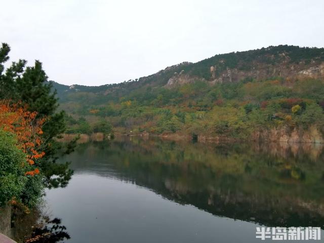 赏叶、看水、听鸟鸣……来青岛浮山森林公园，满足所有对秋天的想象