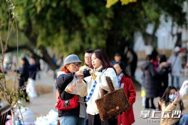 组图｜又是好天气，市民乐游园