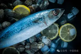 ​独“鲅”一方！一大波花样吃法来啦！图片