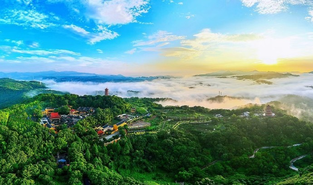 你的“小确幸”是什么？