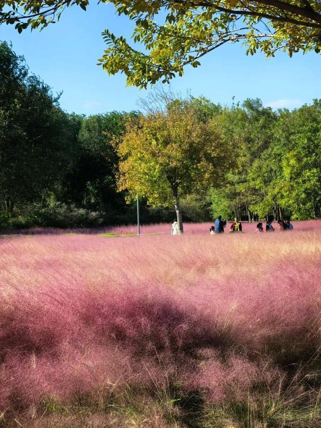 听说周末的石门坊挤爆了？哎，我有一计！