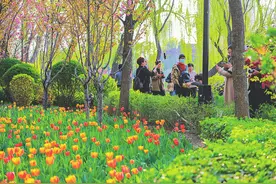 最是一年春好处 赏花踏青正当时图片