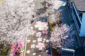 太浪漫了！蔡甸这里好大一片图片