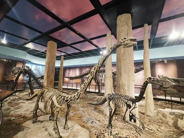 从化石标本到文旅名片，地质遗产活化的“郧阳答案”