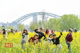 在武汉硚口的汉江边，有一片近在家门口的油菜花海图片