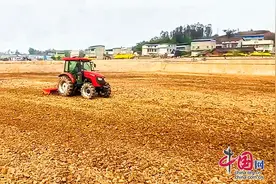 自贡市大安区牛佛镇春耕展现“科技范儿” 智慧农机助力农业生产图片