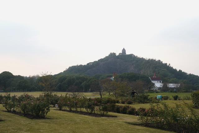 植物园不止失去一个秋天