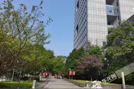 快来一起晒太阳！重庆今日天气晴，最高可达27℃图片