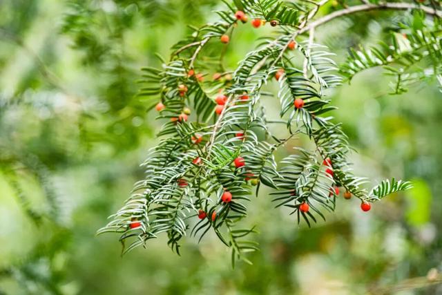 余杭初冬藏不住！这些秘境绝美~