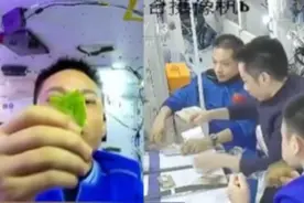 神十七乘组天宫生活将满月：工作之余追剧健身，太空种菜视频封面
