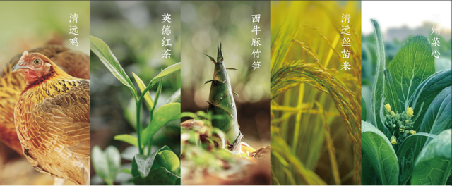 11月的清远将有大动作！