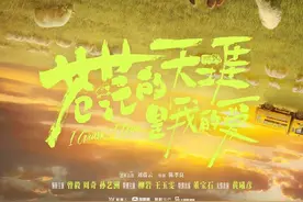 电影《苍茫的天涯是我的爱》官宣阵容，曾毅周奇搭档上演公路喜剧图片