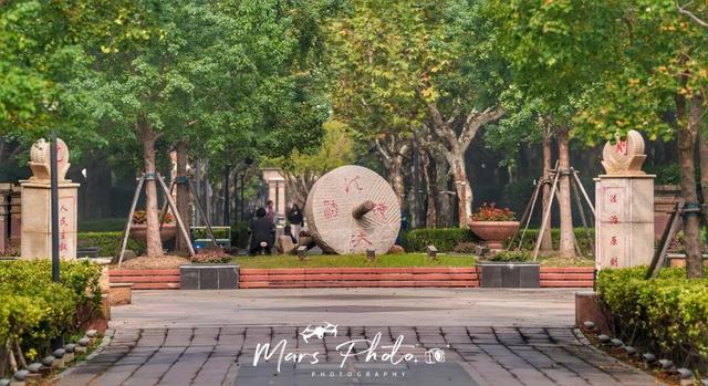 域见上海·域见奉贤｜奉浦秋日限定！这三条宝藏路线，承包所有秋日浪漫，刷爆朋友圈就靠它