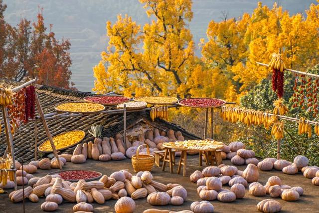 “秋假”第一站！上饶把最美的颜色，“晒”给你看