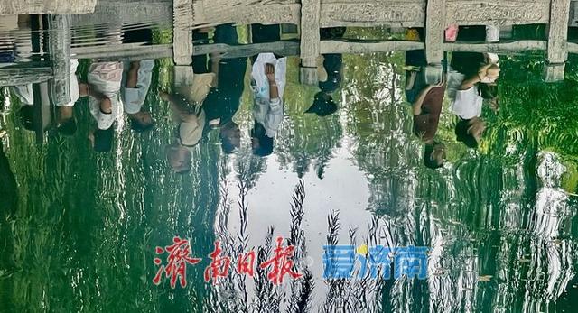 一年四季 泉在济南丨秋日亲泉热潮涌动 “泉水游”持续升温