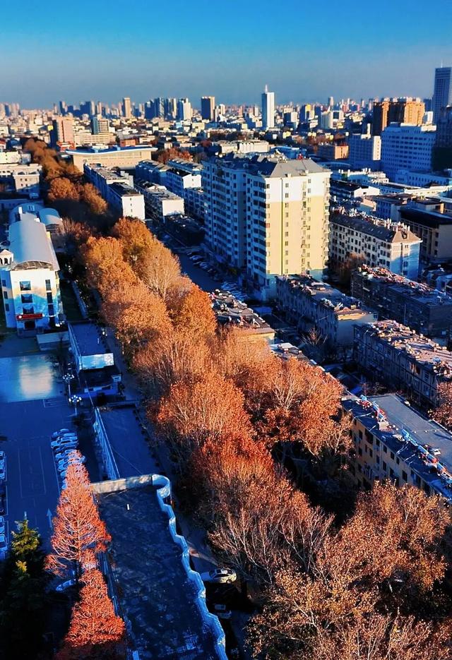 冬日到泰安文化路来一场Citywalk，只走一趟就沦陷