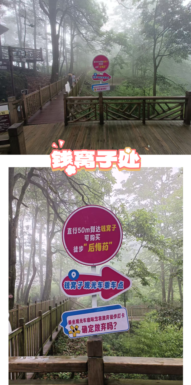 哇塞！！瓦屋山竟可以购买“后悔药”？！