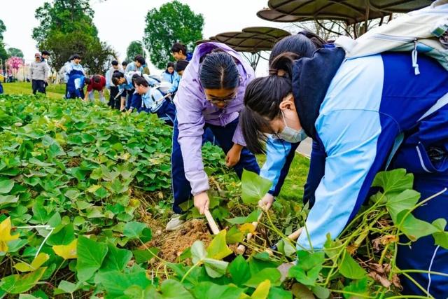 邀您免费畅玩！来木兰不夜城探索侠气与温柔