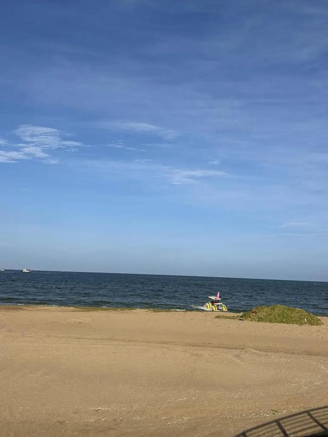 我的日照旅行日记｜日照，真是个让人惊喜的城市