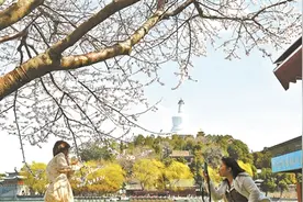 北京市属公园开启夜赏春花 即日起至5月上旬推出40余处踏青赏花经典片区图片