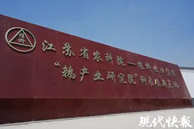 探秘鹅场科技创新！记者见证小生命破壳而出图片