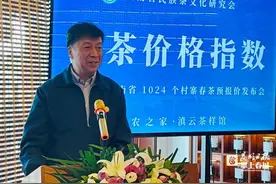 冰岛老寨古树茶毛料9.5万元/公斤，云南1024个村寨春茶预报价出炉图片