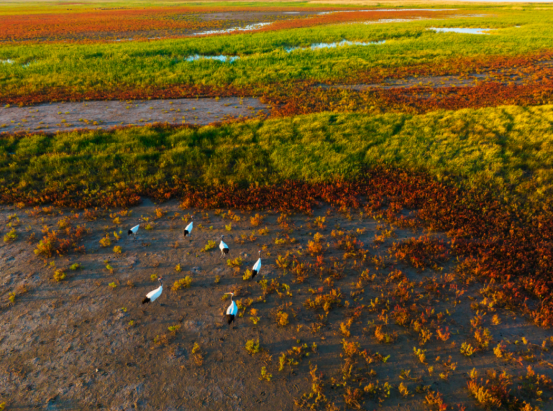 @永州市民，这是一份来自江苏的文旅“回礼单”，请查收！