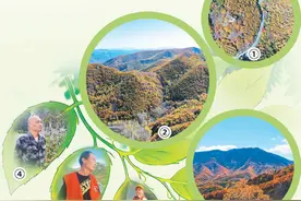 看！那茫茫林海图片