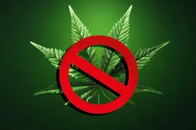 原创动漫 | 丛林奇遇记之“大麻的危害”图片