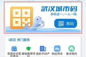 武汉城市码“交通出行”服务上线，坐地铁公交轮渡一码通行图片