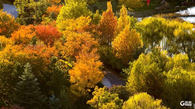 深秋时节，碧水彩林相映美