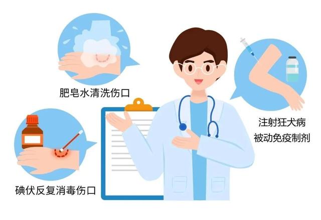什么？狂犬病的头号元凶不是狗？最要警惕的动物竟然是它→
