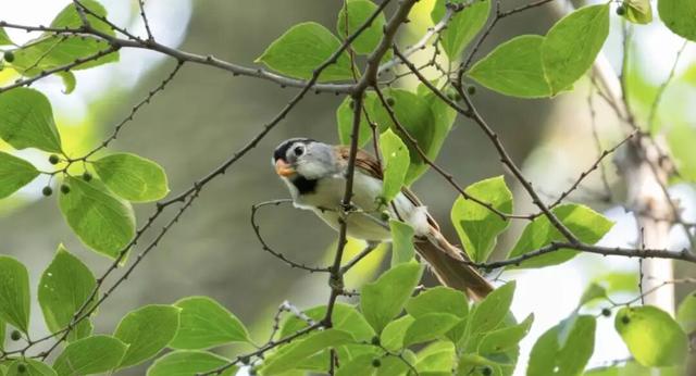 无锡最新追“星”指南，速收藏！