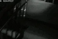 熏成黑炭还是帅！网友在线给“娃娃脸”民警征婚图片