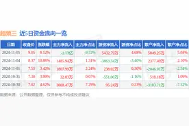 超频三（300647）11月5日主力资金净卖出1.13亿元图片