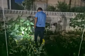 小菜园成为职工“开心农场”图片