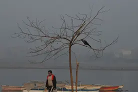 巴基斯坦拉合尔遭遇空气污染图片