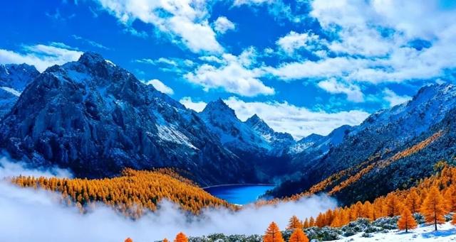 它都这么美了！差点忘记推给你了