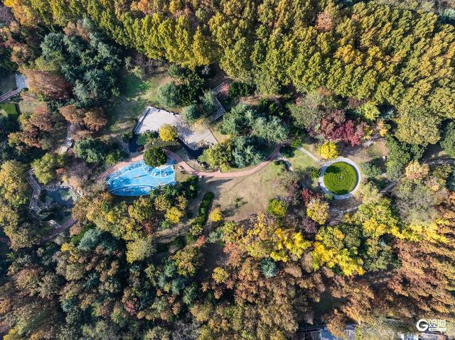 海韵+汇筑+绮景！青岛初冬的浪漫被具象化了