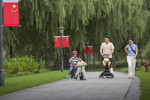 美景上新！长宁这片“粉色云雾”进入最佳观赏期~