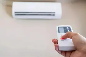 训狗用的电击项圈，正在成为欧美直播圈的新宠图片