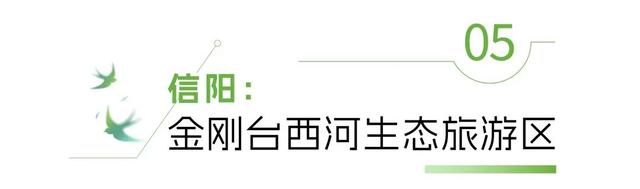 河南“天然空调房”地图上线！快来场“森呼吸”