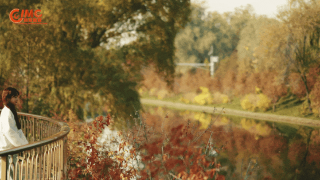 坝河，用金奖回答城市与自然——