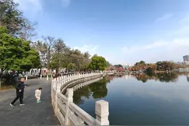 昆明多个观鸥点的海鸥不见了？记者实地走访……图片