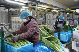 陆良：冷链物流复工忙 蔬菜供应“不断链”图片