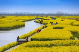 水韵文旅丨春日赏花、文旅活动、特色美食……解锁五一假期“幸福泰州”之旅图片