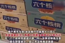 六个核桃经销商老板卷款千万跑路，六个核桃回应：公安部门已介入此案图片