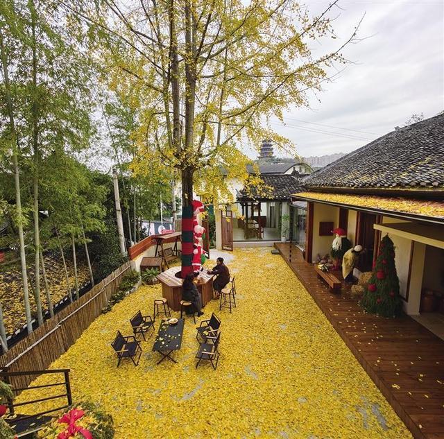 定格湘西“冬日秋韵”，拍照打卡正当时