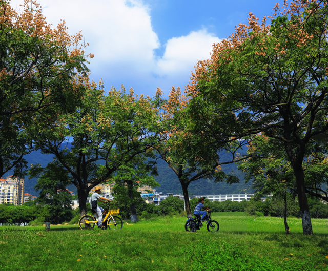 假如秋冬有颜色，肇庆便是一场多彩盛宴～