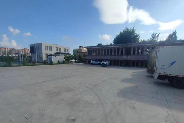 小斗湖鳘鱼胶效果 2026年斗湖鱼胶的功效与作用